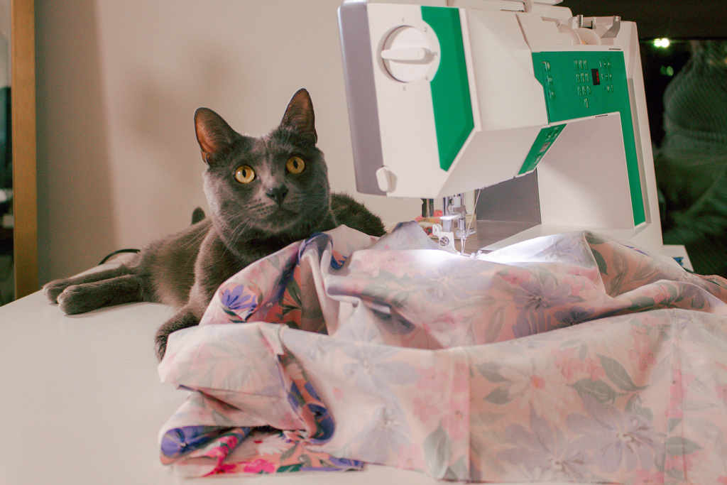 Expecting perfection from your sewing problems is expected, but not always helpful. Even life's little adventures (like a cat jumping onto your workspace) can impact your sewing projects as a sewing beginner.